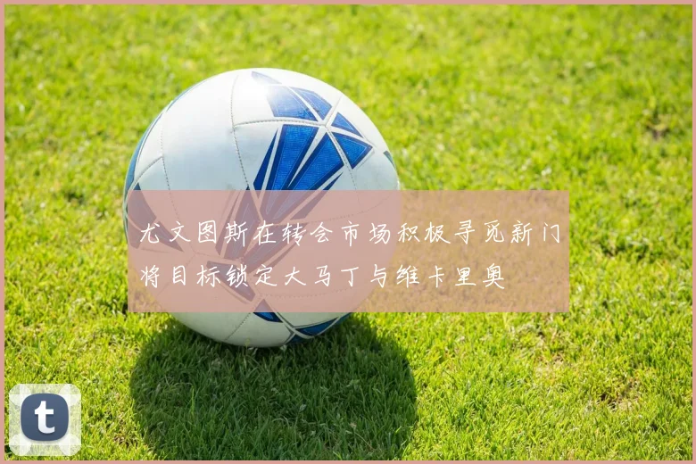 尤文图斯在转会市场积极寻觅新门将目标锁定大马丁与维卡里奥