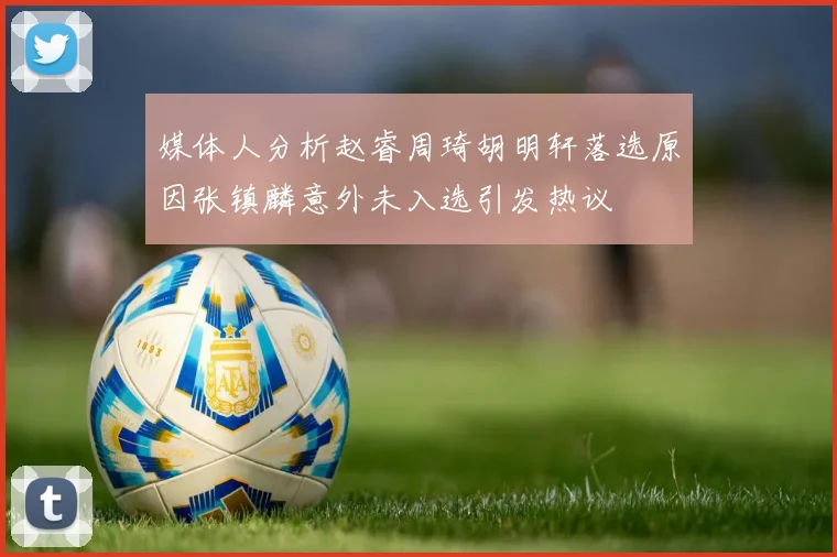 媒体人分析赵睿周琦胡明轩落选原因张镇麟意外未入选引发热议